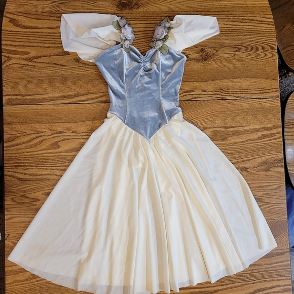 curtain call costumes Dresses & Skirts - Fairytale Princess Dress with Flutter Sleeves and Velvet Bodice